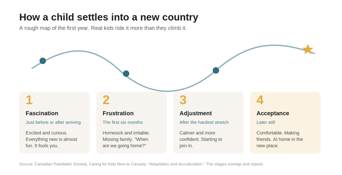 Four possible adjustment stages after moving to a new country: fascination, frustration, gradual adjustment, and acceptance.